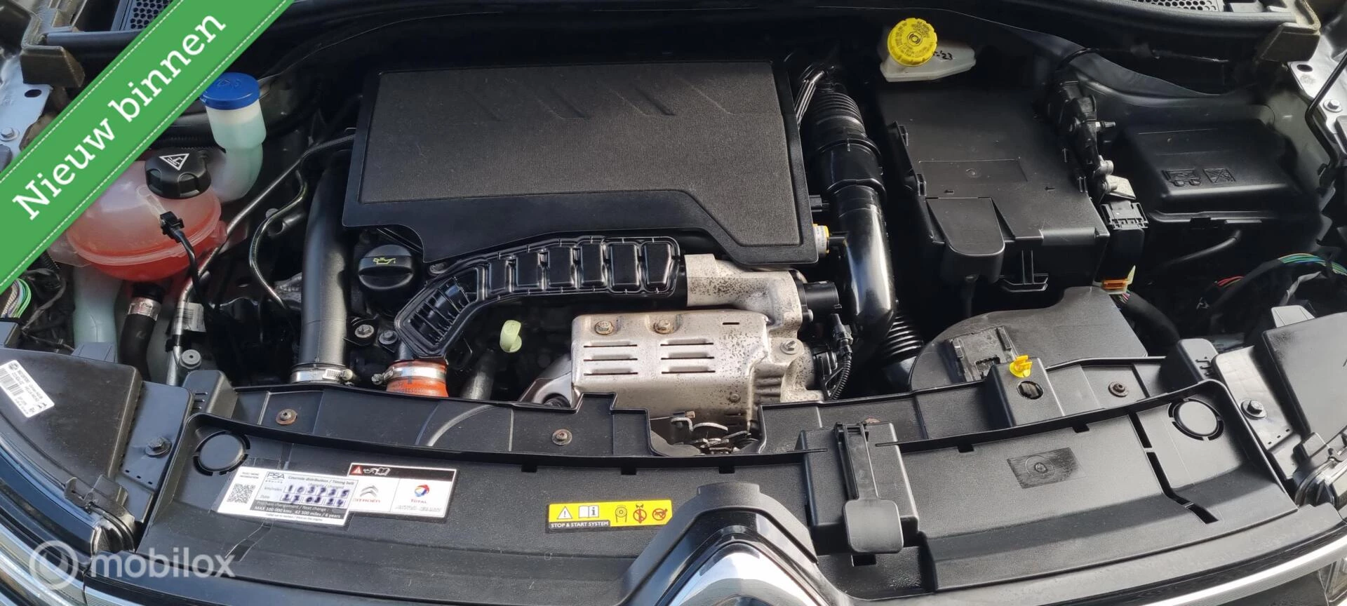 Hoofdafbeelding Citroën C4 Cactus