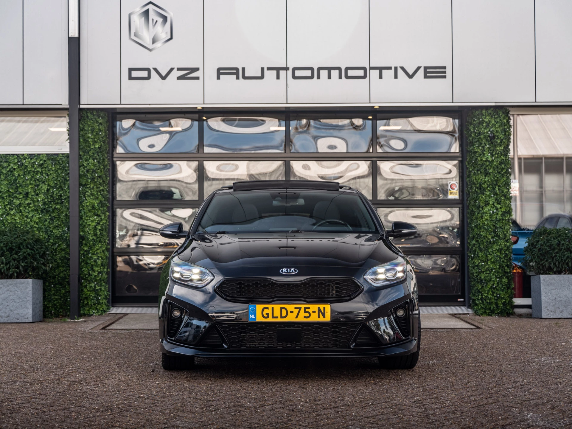 Hoofdafbeelding Kia ProCeed