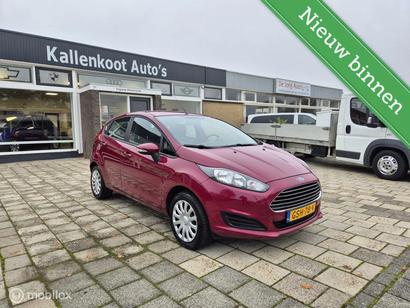 Hoofdafbeelding Ford Fiesta