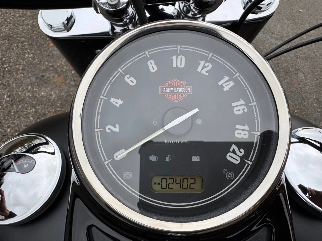 Hoofdafbeelding Harley-Davidson Softail