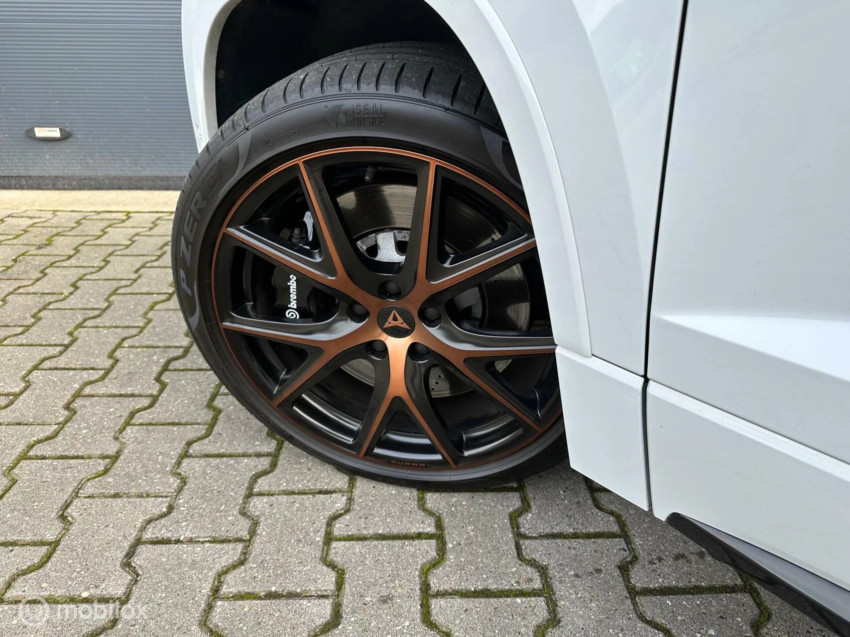 Hoofdafbeelding CUPRA Ateca