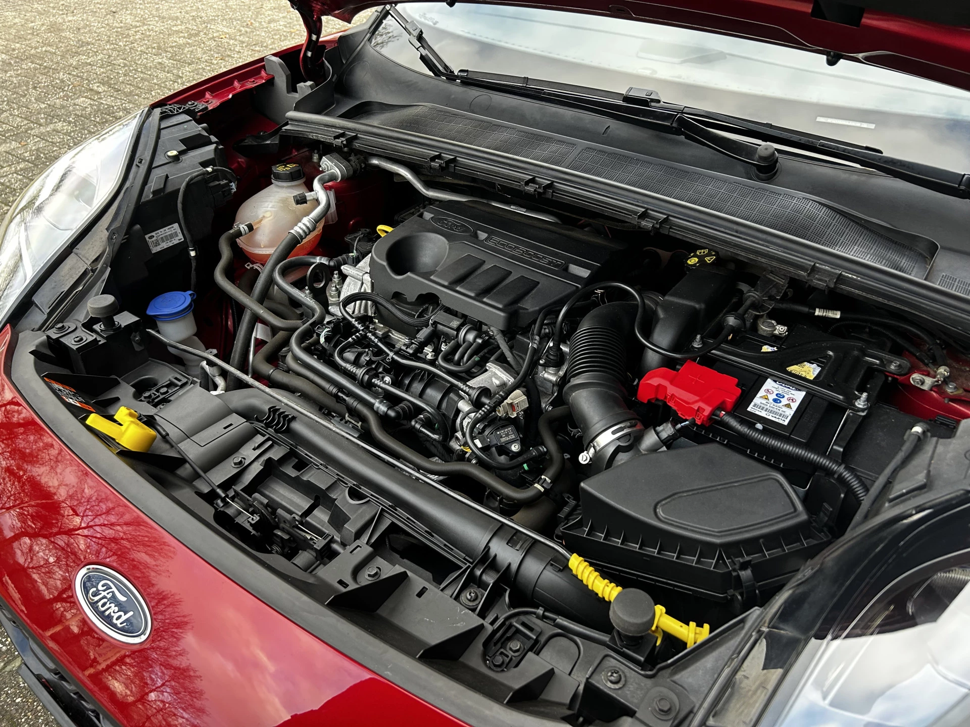 Hoofdafbeelding Ford Puma