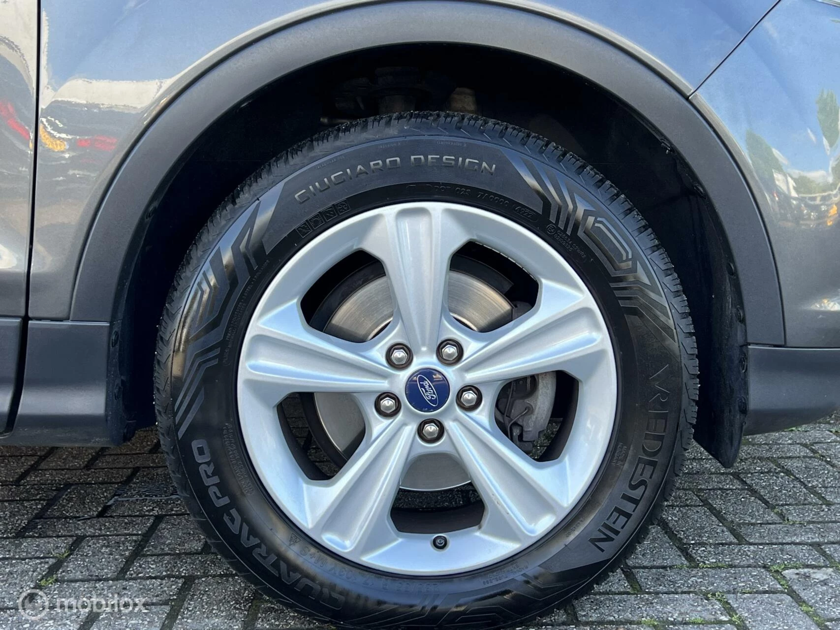 Hoofdafbeelding Ford Kuga