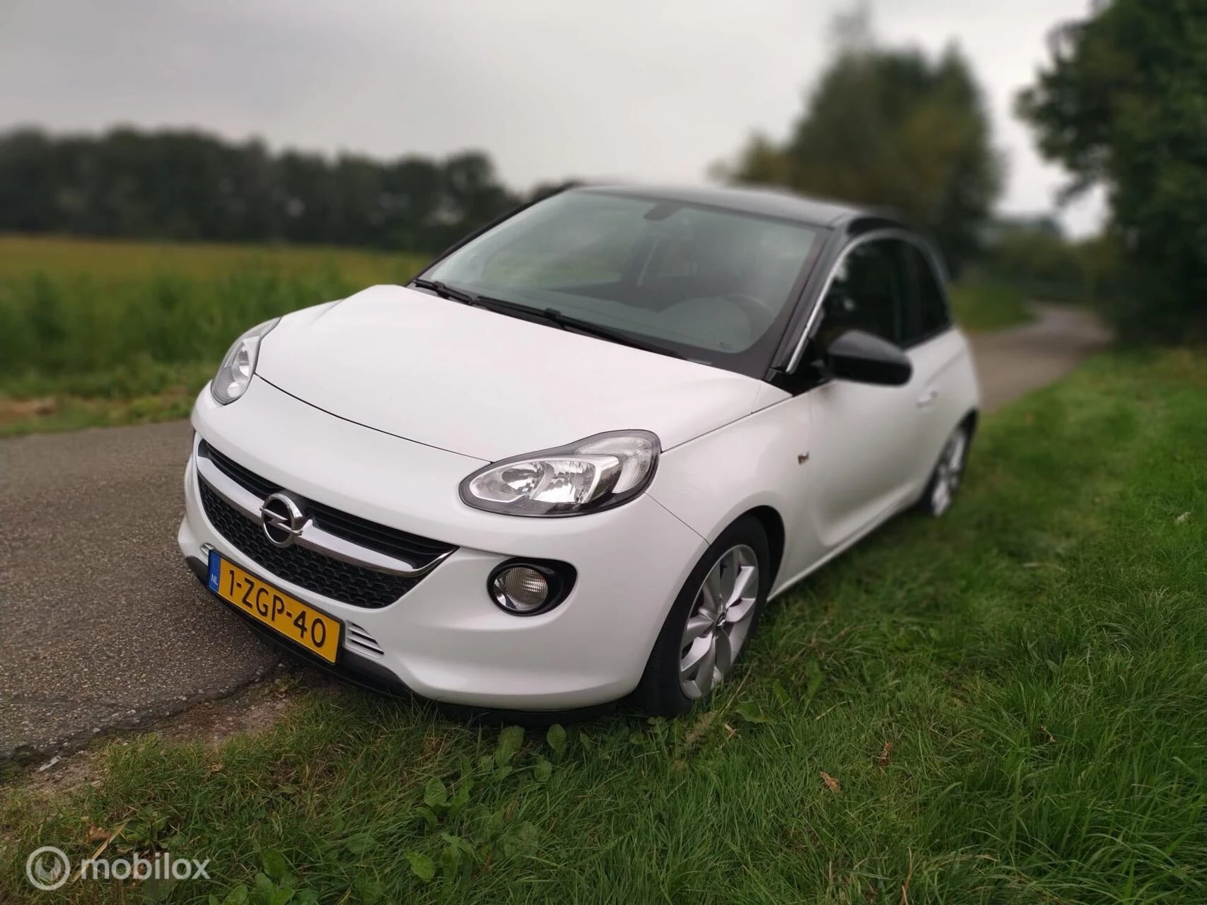 Hoofdafbeelding Opel ADAM