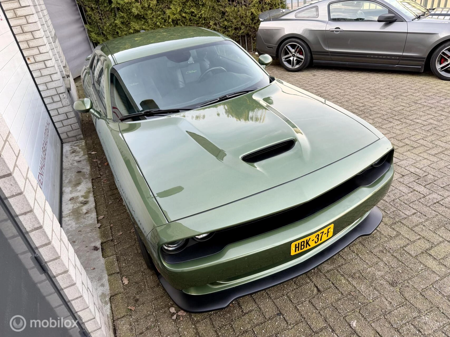 Hoofdafbeelding Dodge Challenger