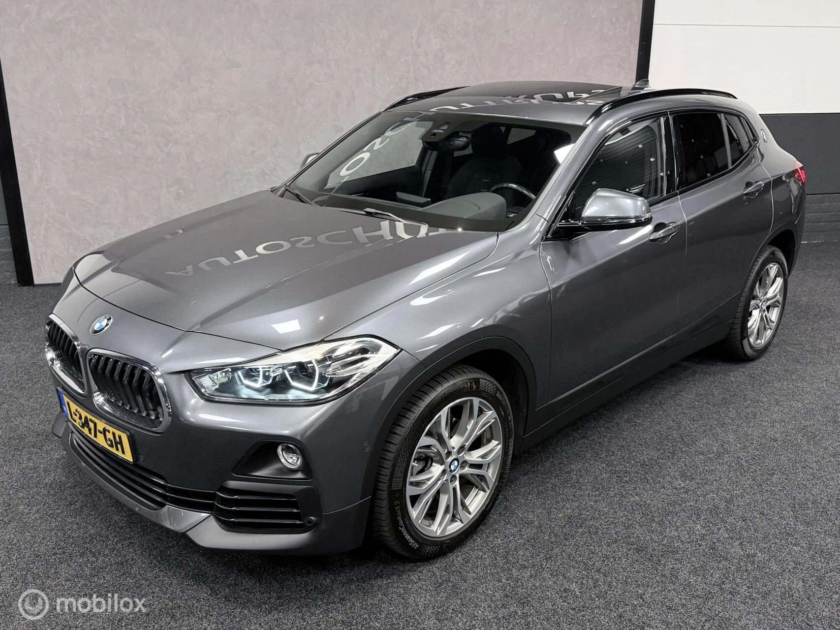 Hoofdafbeelding BMW X2