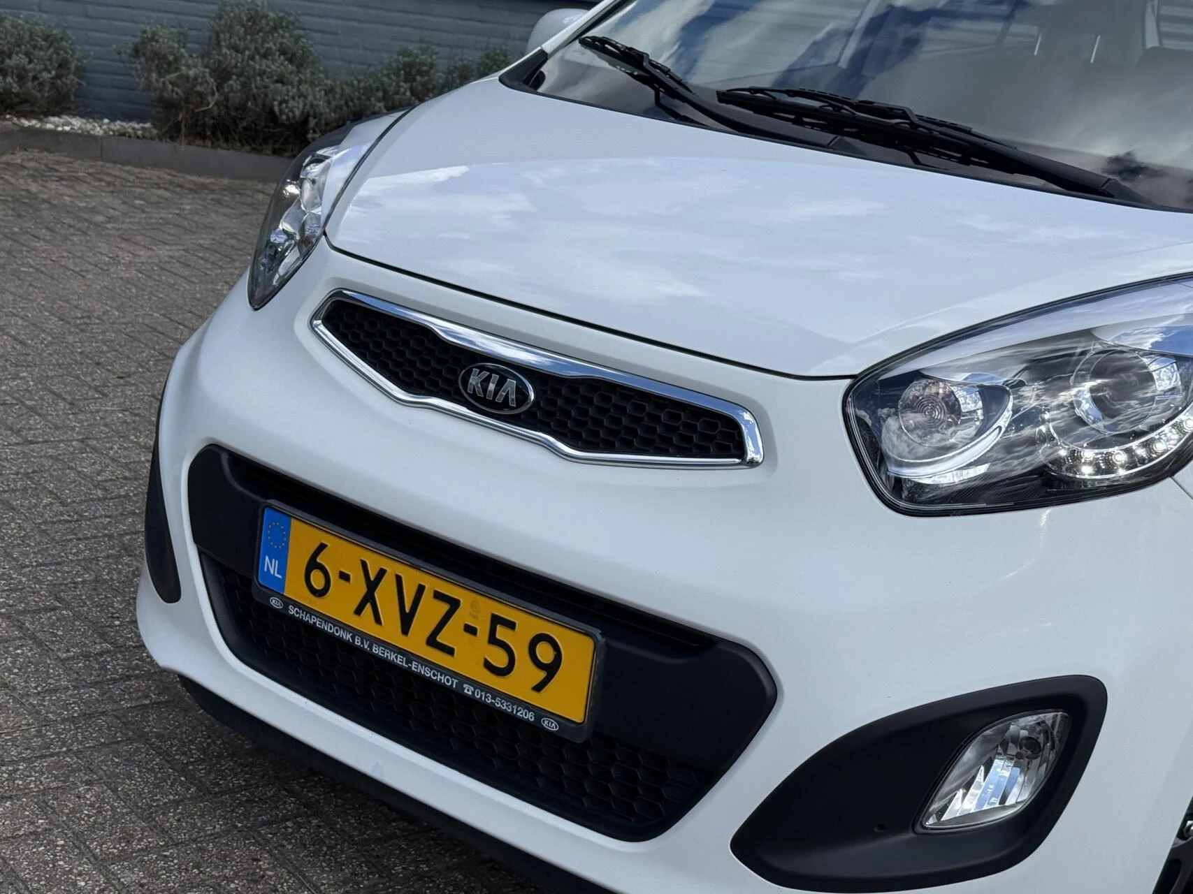 Hoofdafbeelding Kia Picanto