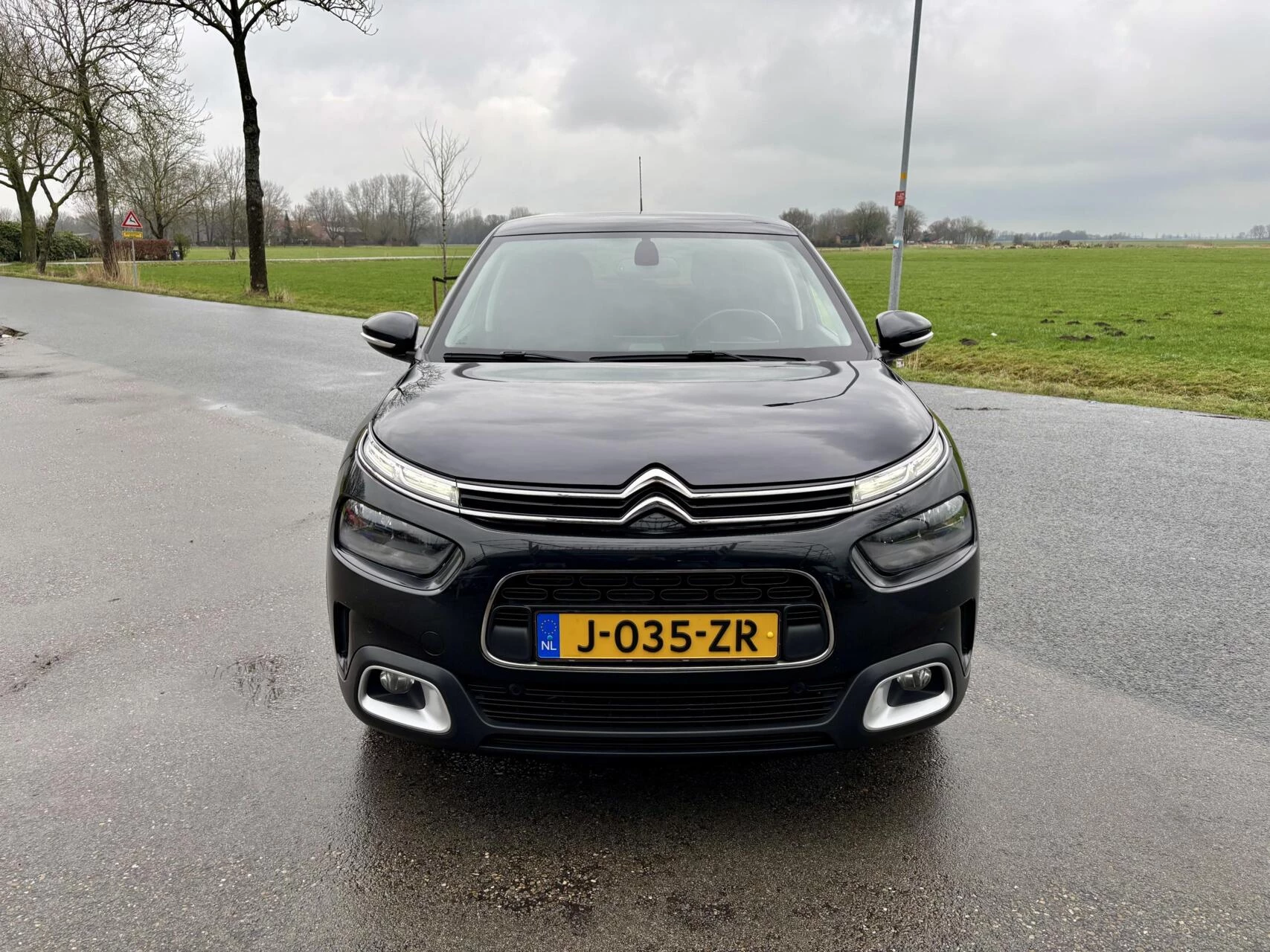 Hoofdafbeelding Citroën C4 Cactus