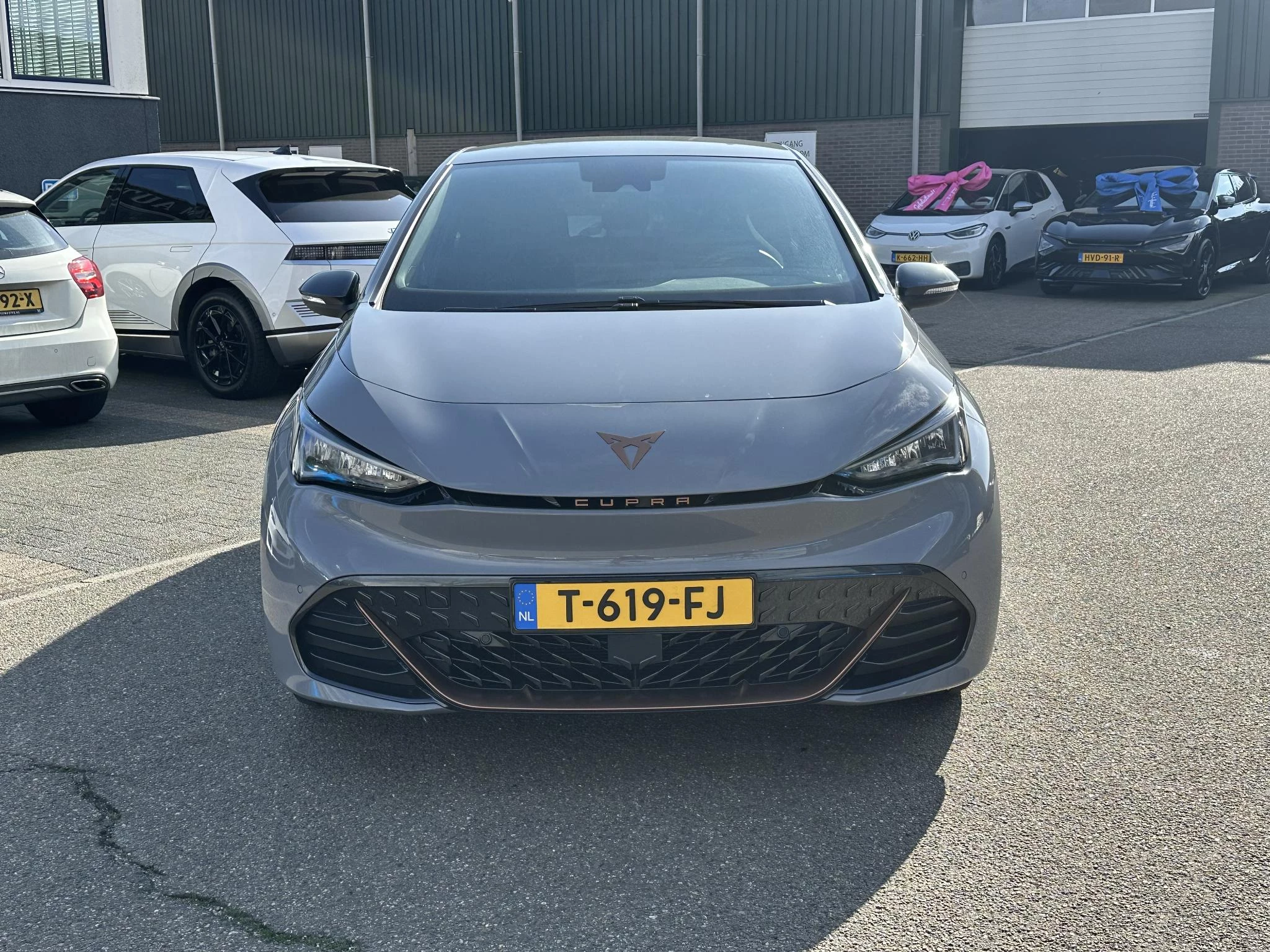 Hoofdafbeelding CUPRA Born