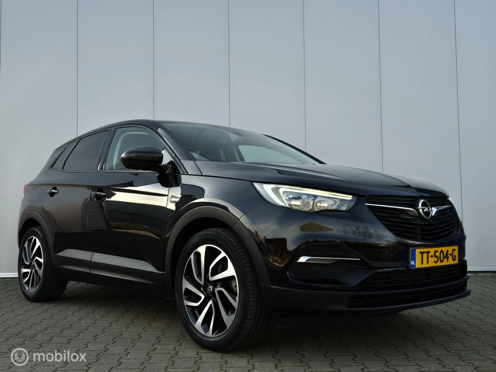 Hoofdafbeelding Opel Grandland X