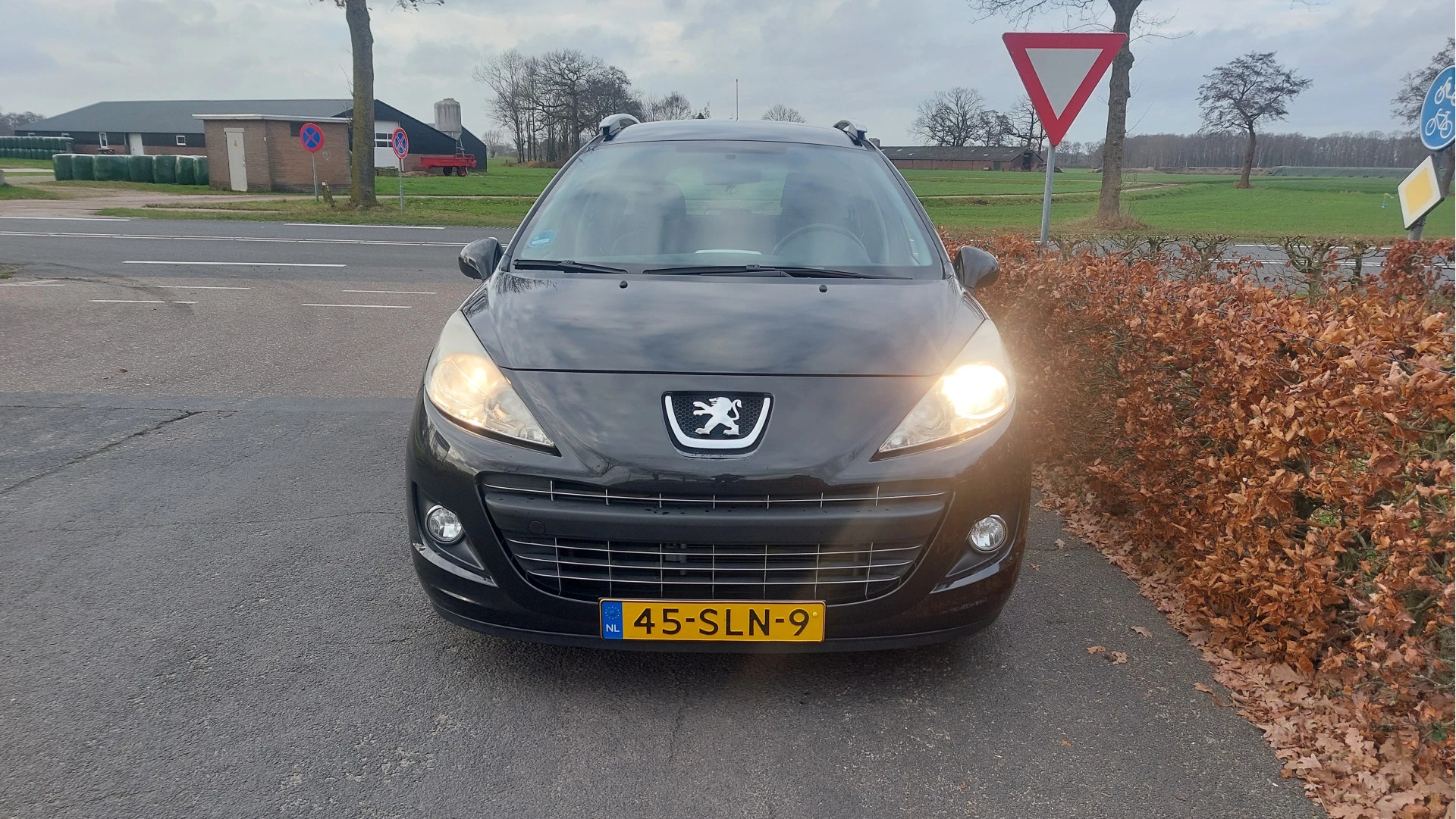 Hoofdafbeelding Peugeot 207