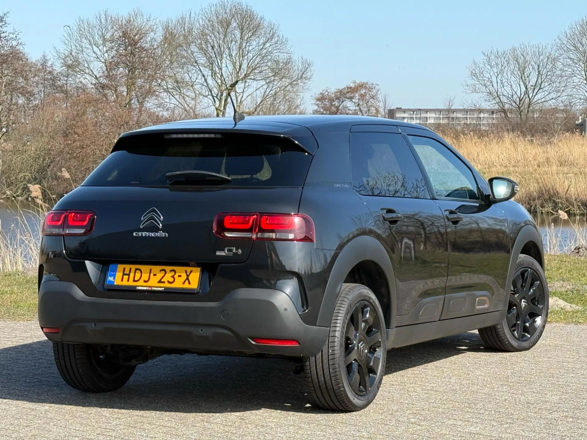 Hoofdafbeelding Citroën C4 Cactus