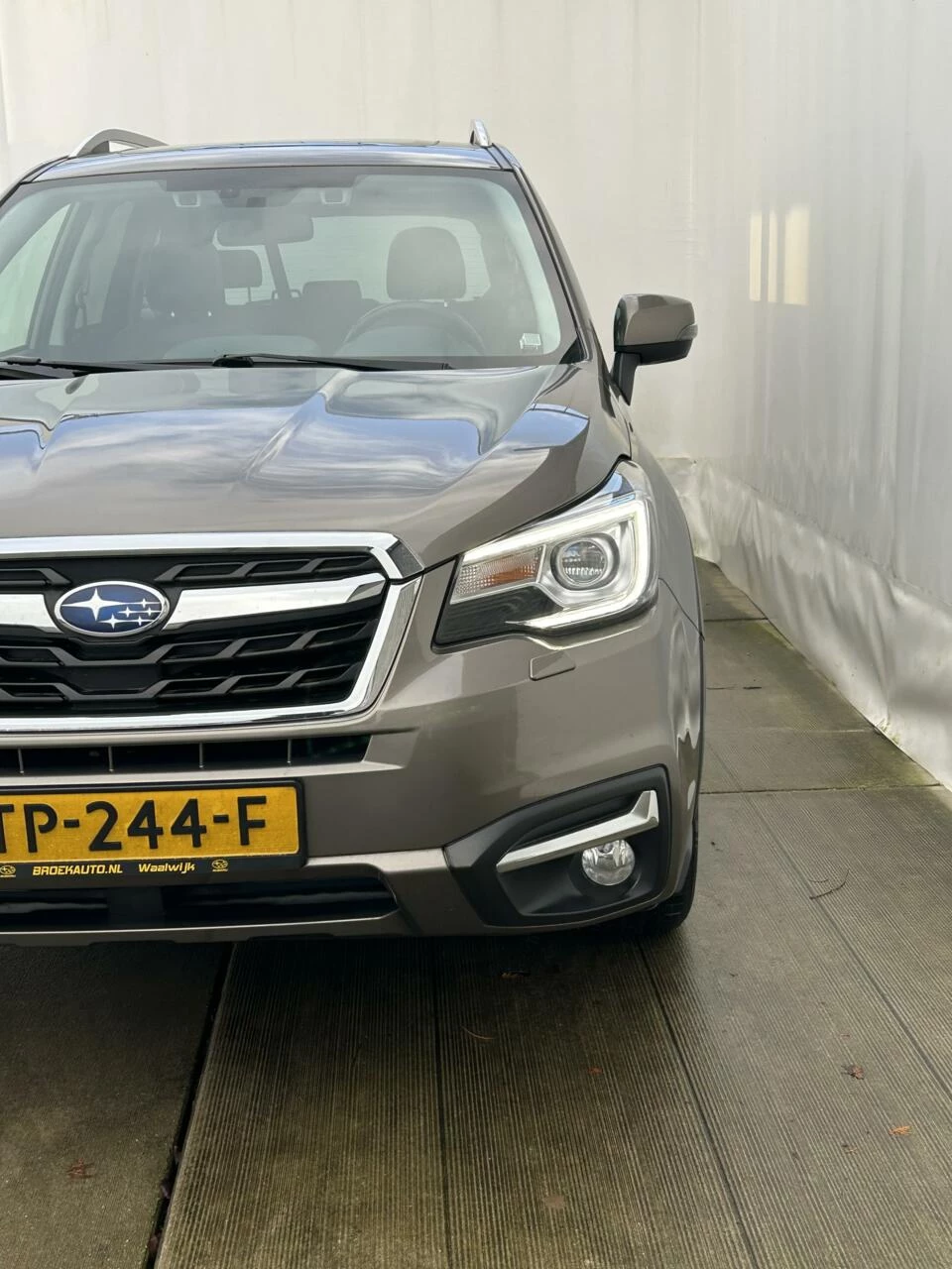 Hoofdafbeelding Subaru Forester