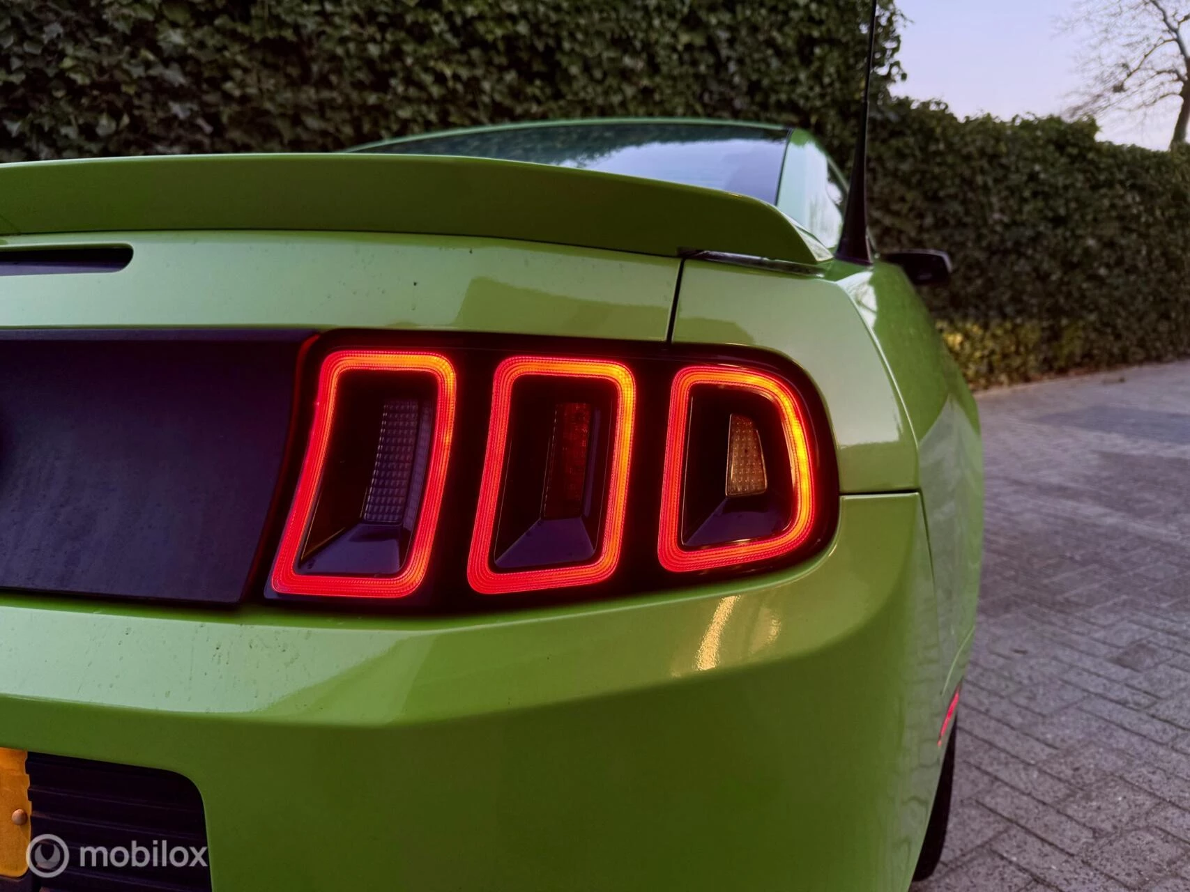 Hoofdafbeelding Ford Mustang