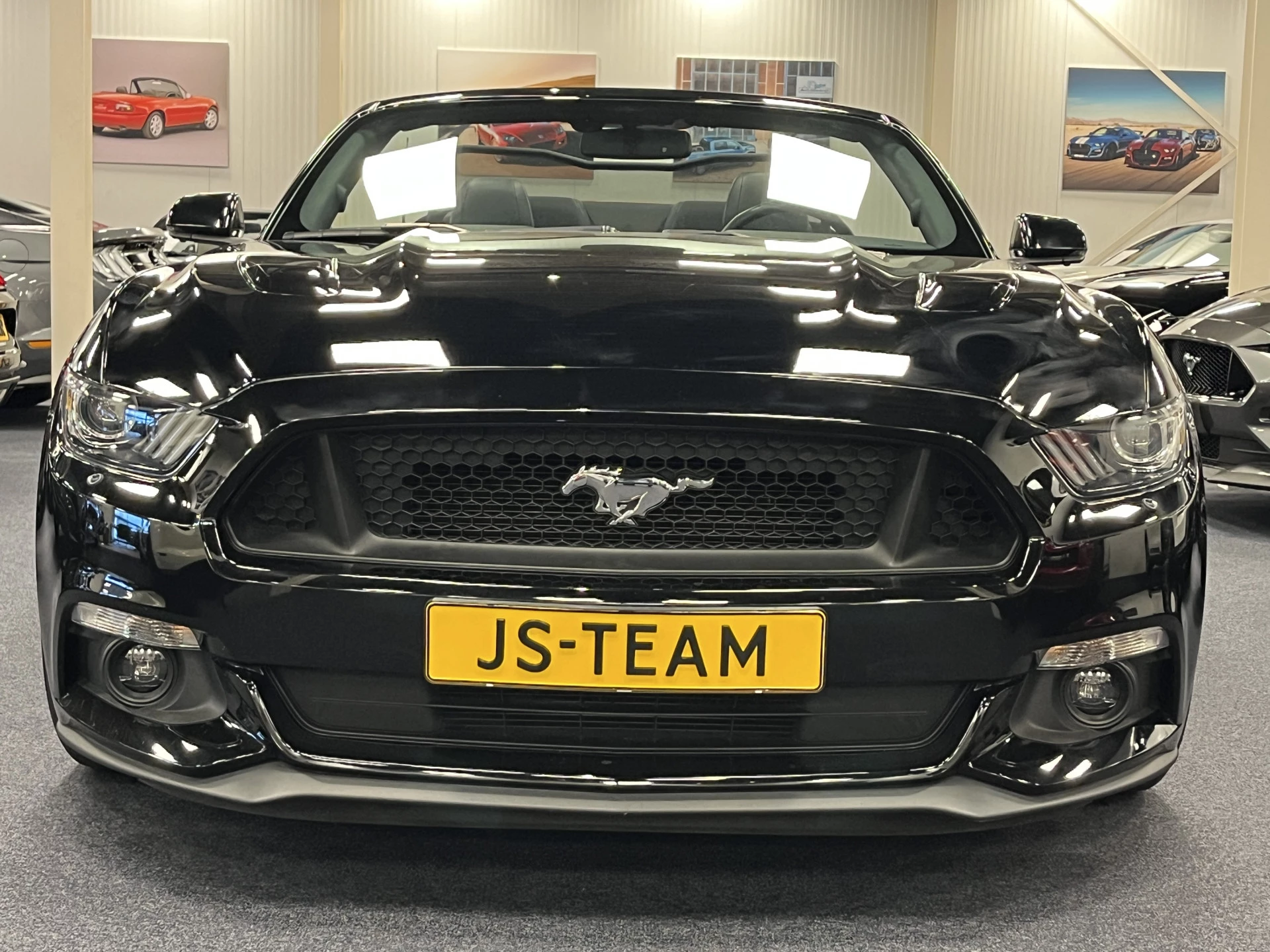 Hoofdafbeelding Ford Mustang