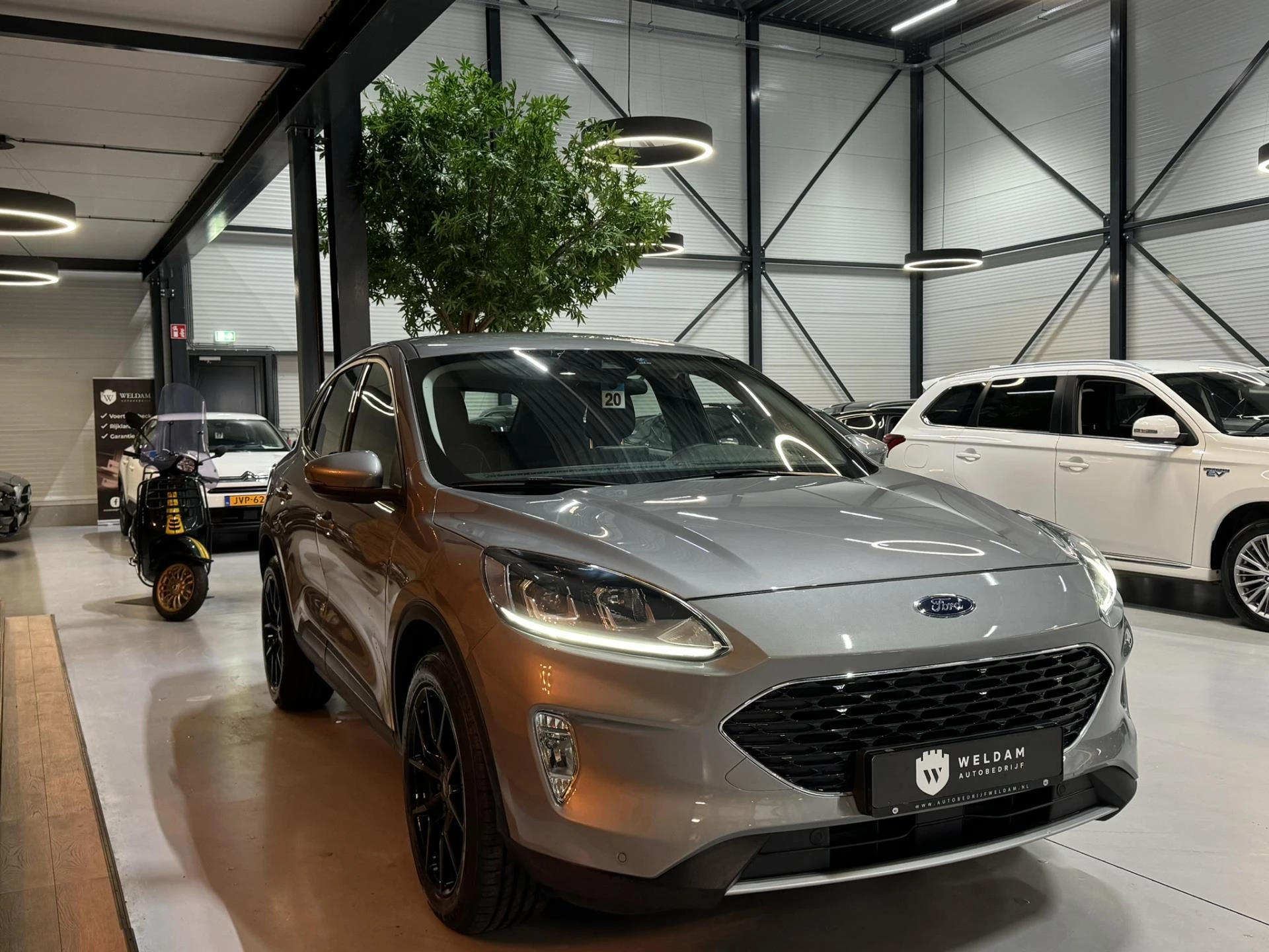 Hoofdafbeelding Ford Kuga