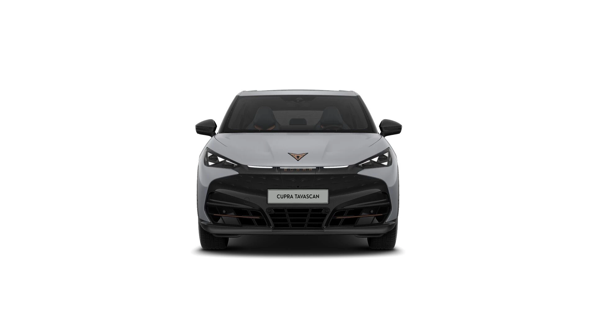 Hoofdafbeelding CUPRA Tavascan