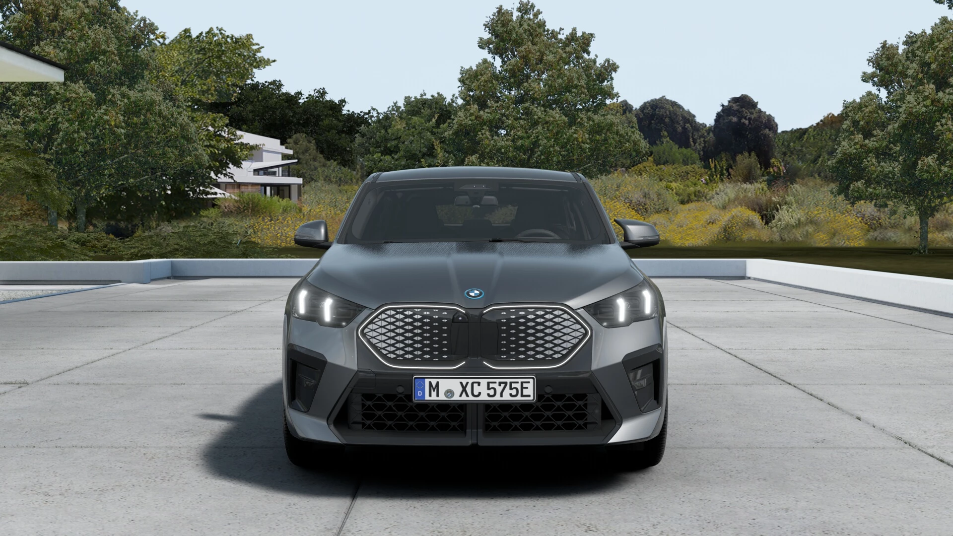 Hoofdafbeelding BMW iX2