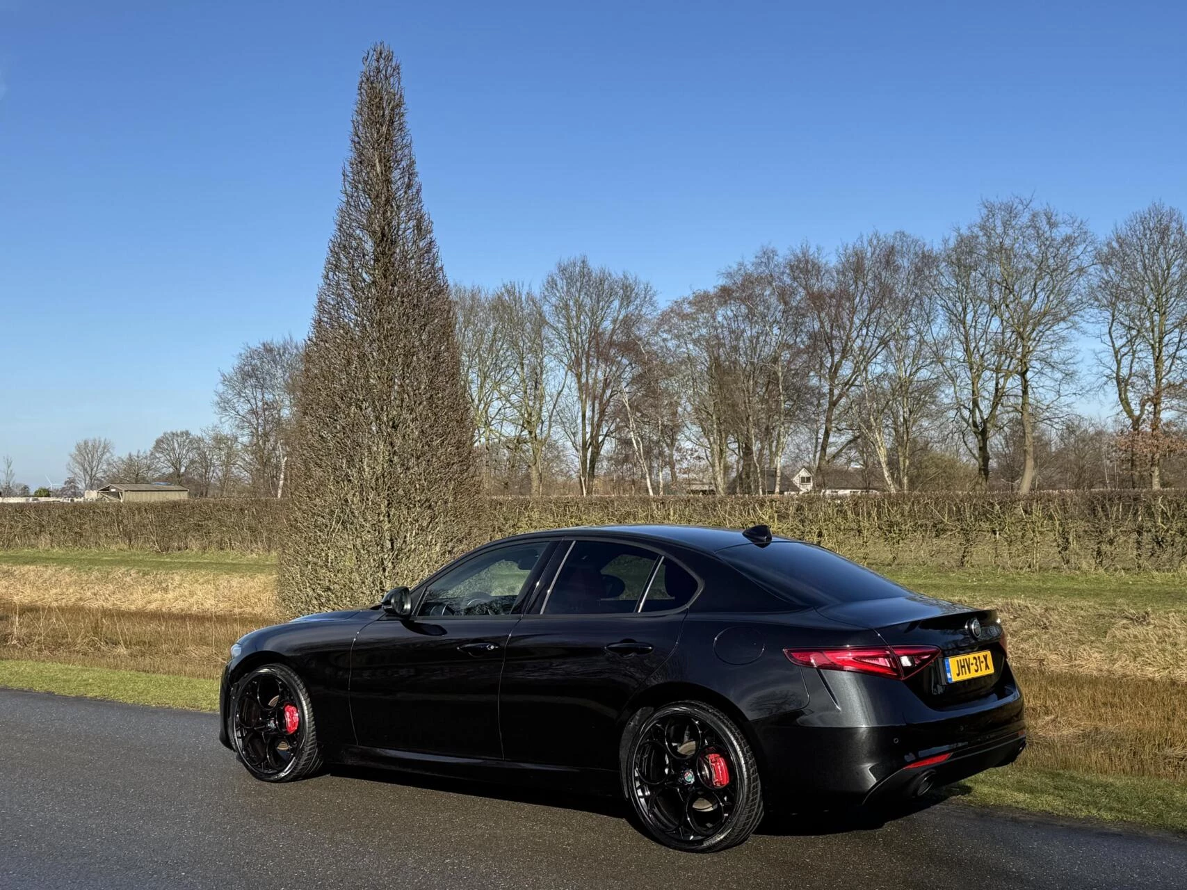 Hoofdafbeelding Alfa Romeo Giulia