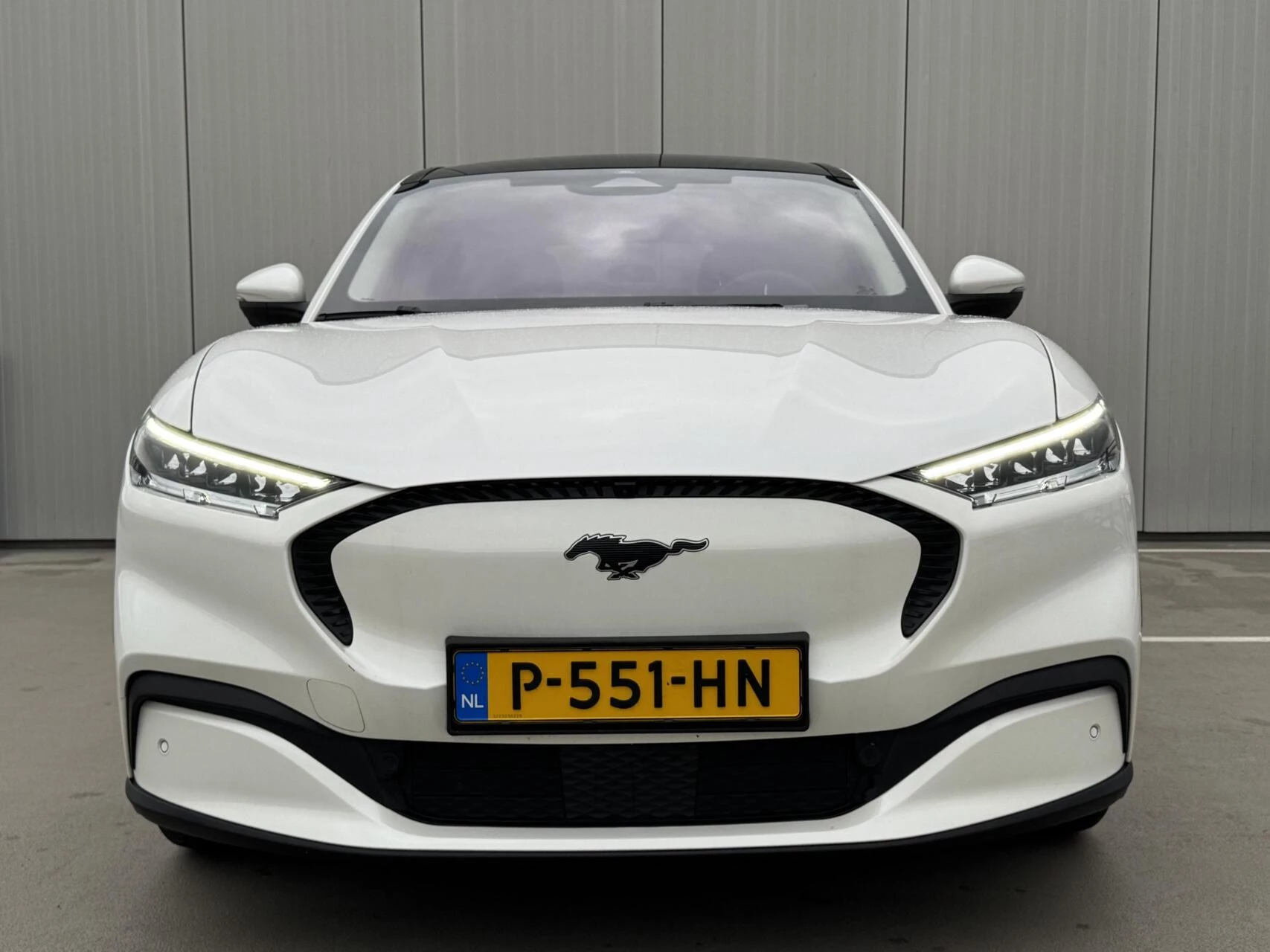 Hoofdafbeelding Ford Mustang Mach-E