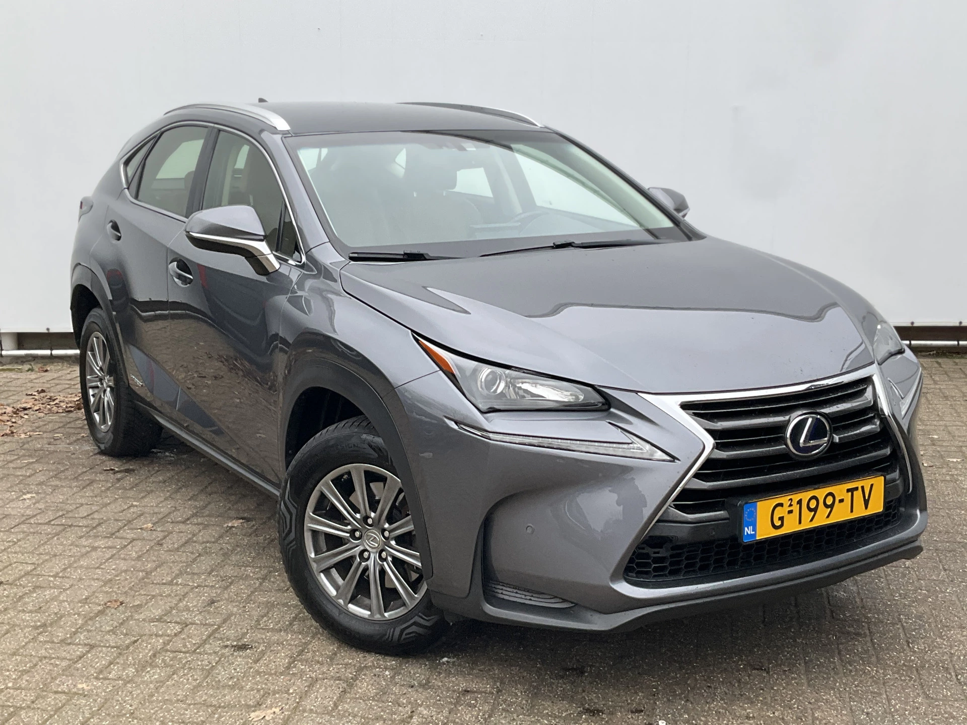 Hoofdafbeelding Lexus NX
