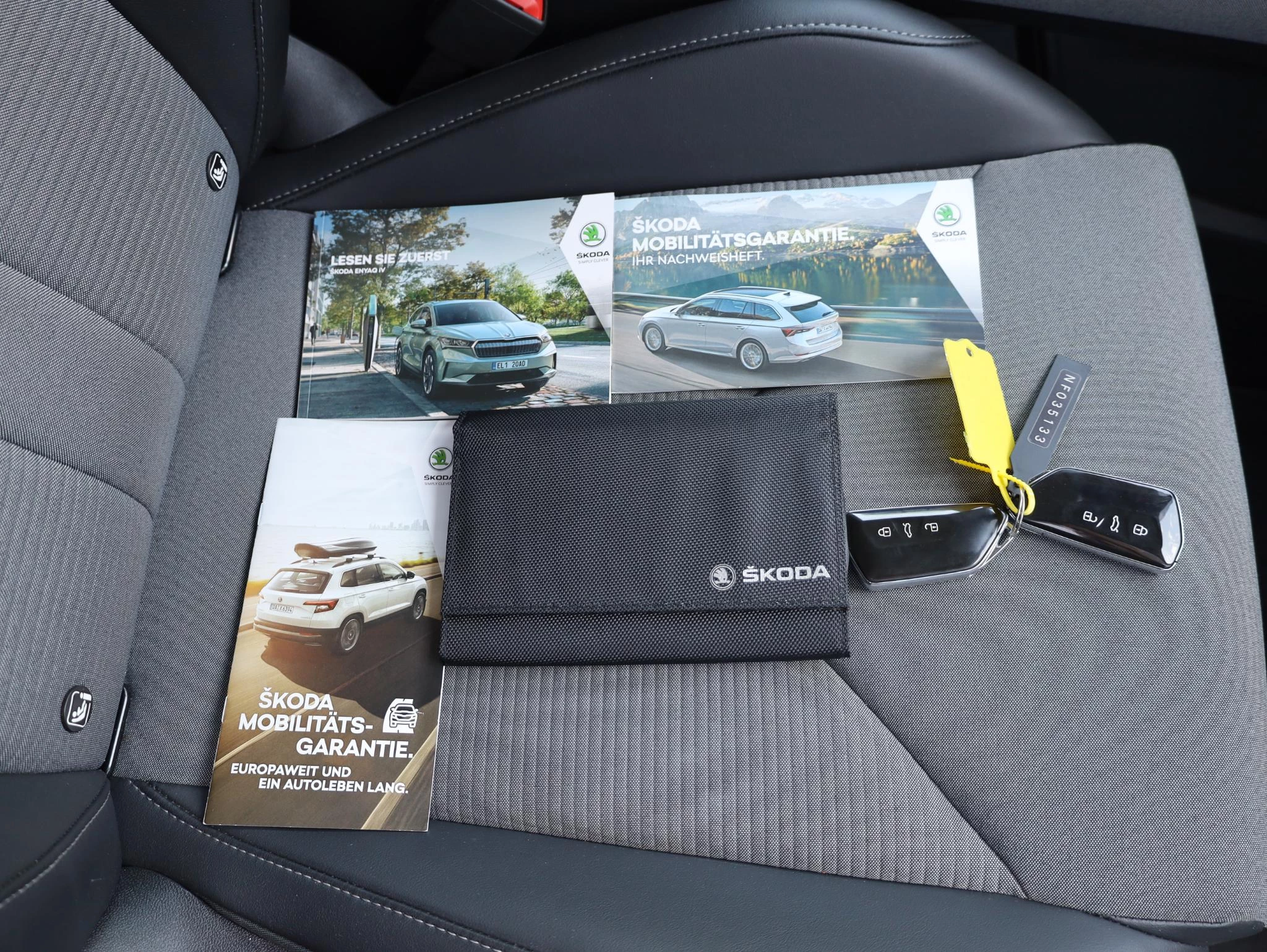 Hoofdafbeelding Škoda Enyaq iV