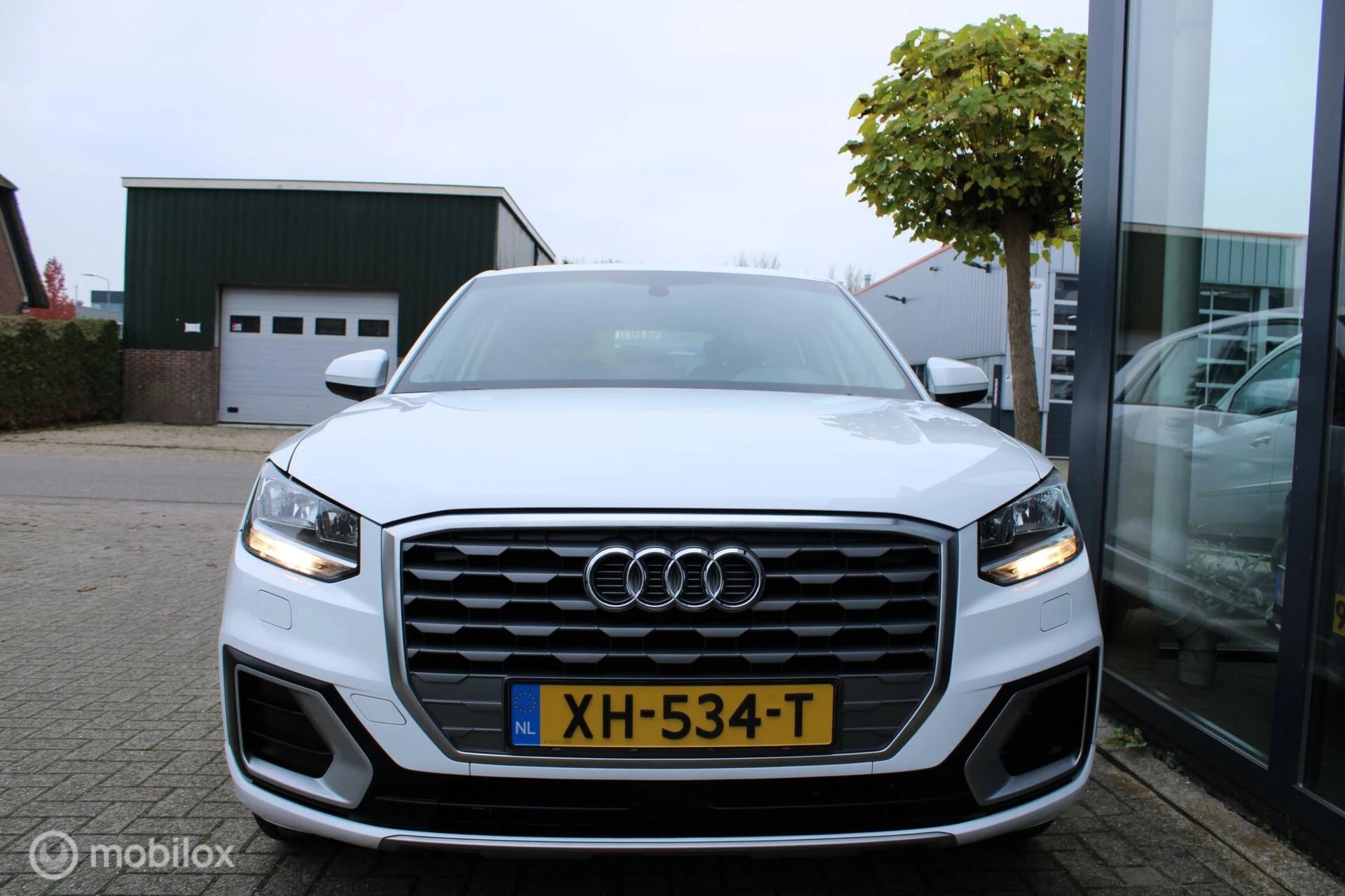 Hoofdafbeelding Audi Q2