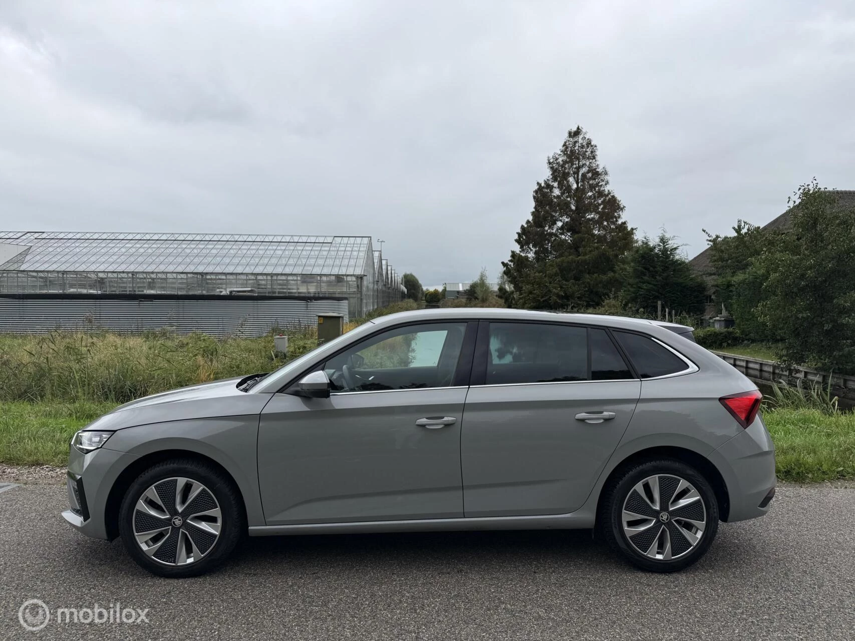 Hoofdafbeelding Škoda Scala