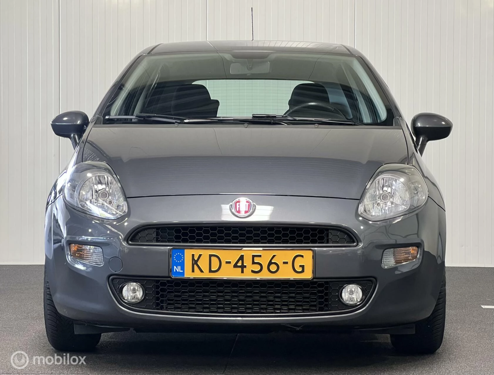 Hoofdafbeelding Fiat Punto