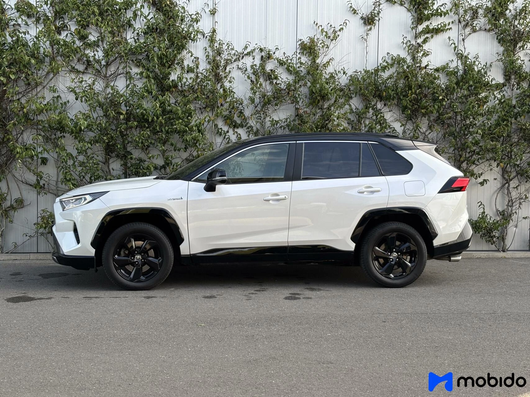 Hoofdafbeelding Toyota RAV4