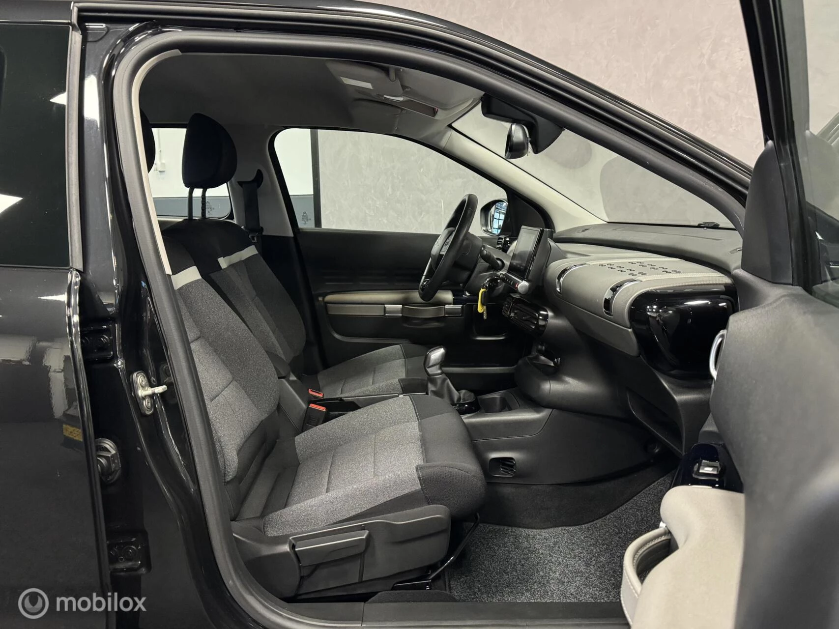 Hoofdafbeelding Citroën C4 Cactus