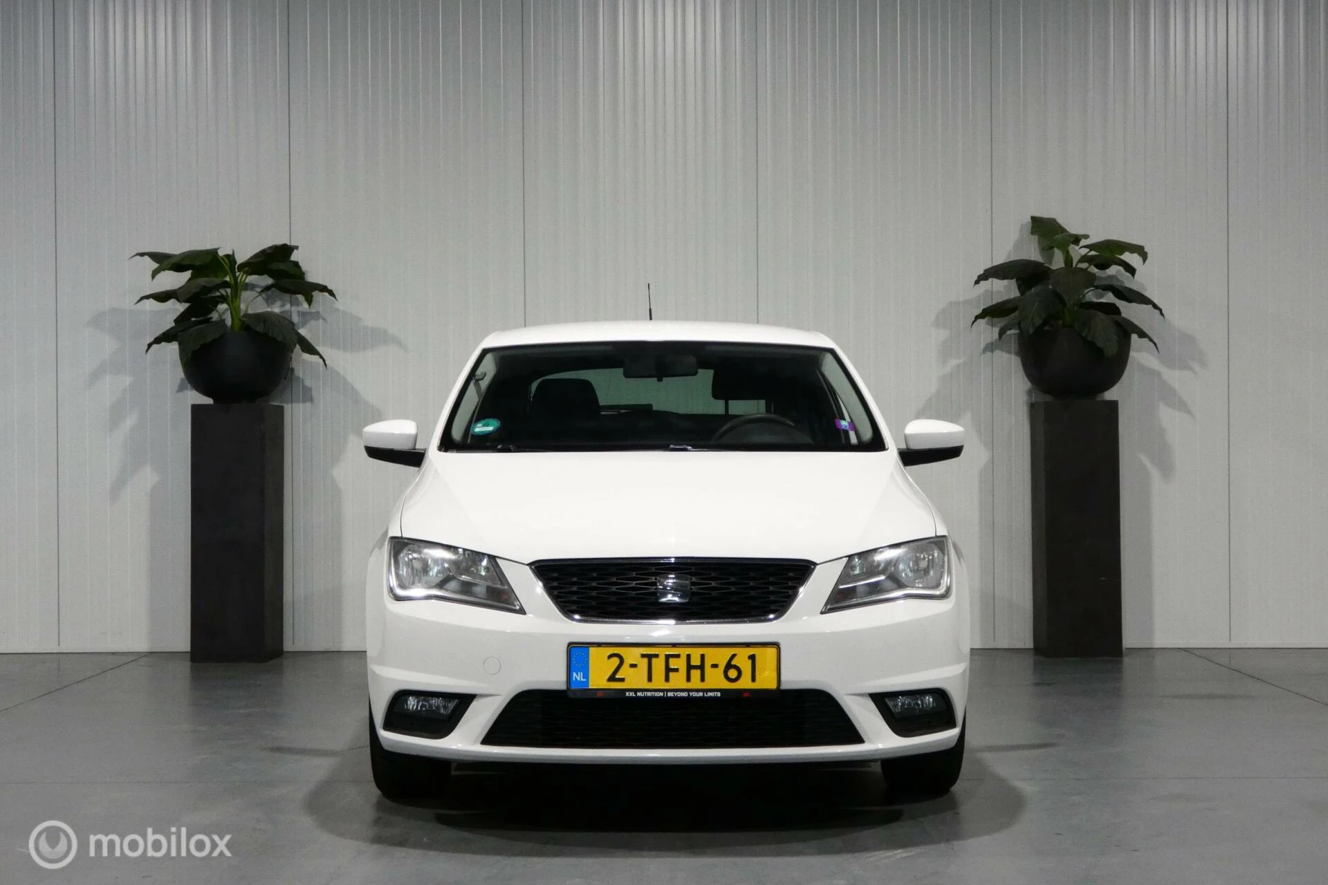 Hoofdafbeelding SEAT Toledo