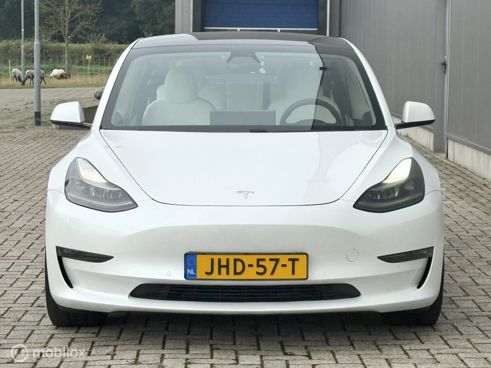 Hoofdafbeelding Tesla Model 3