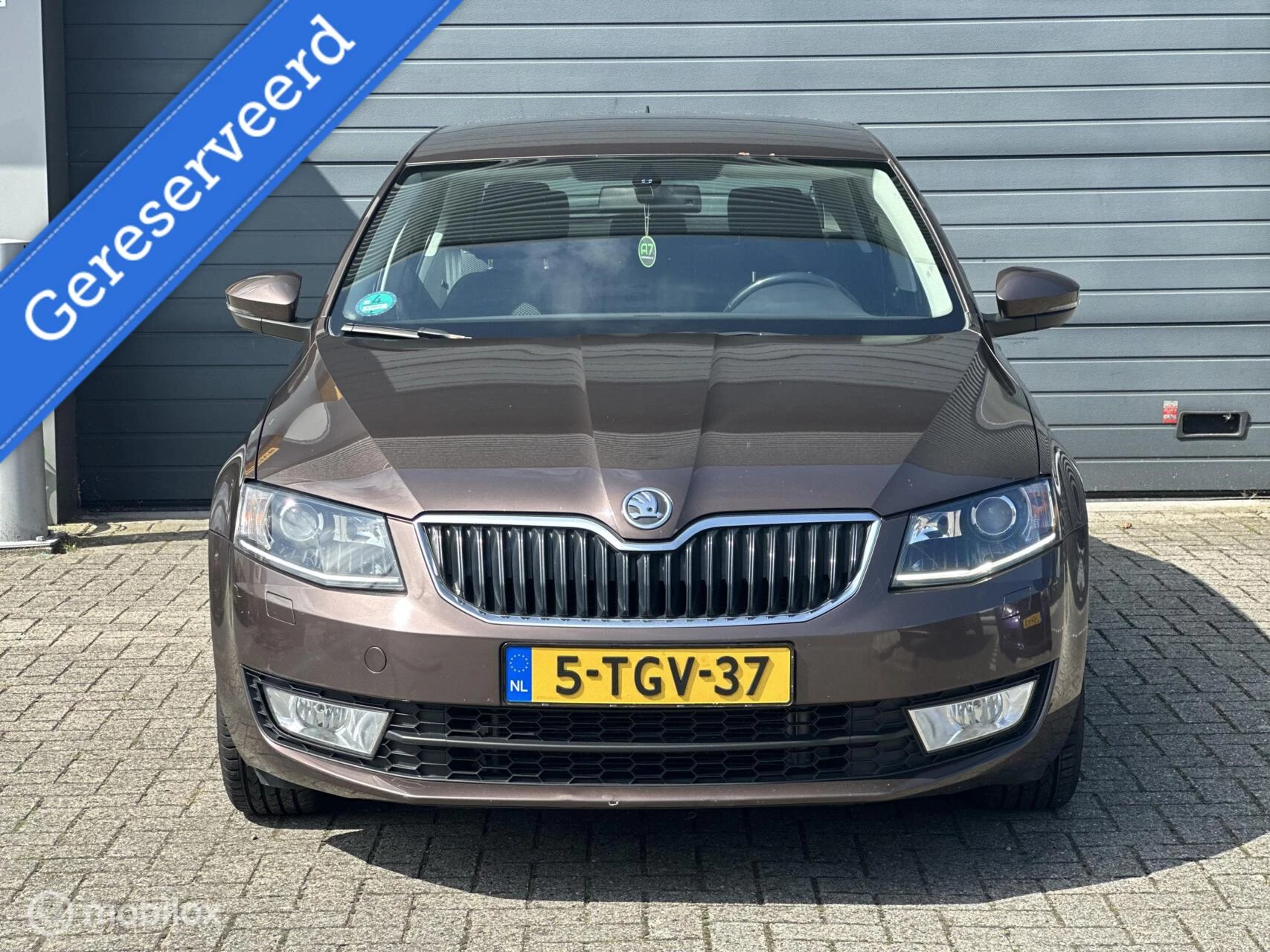 Hoofdafbeelding Škoda Octavia