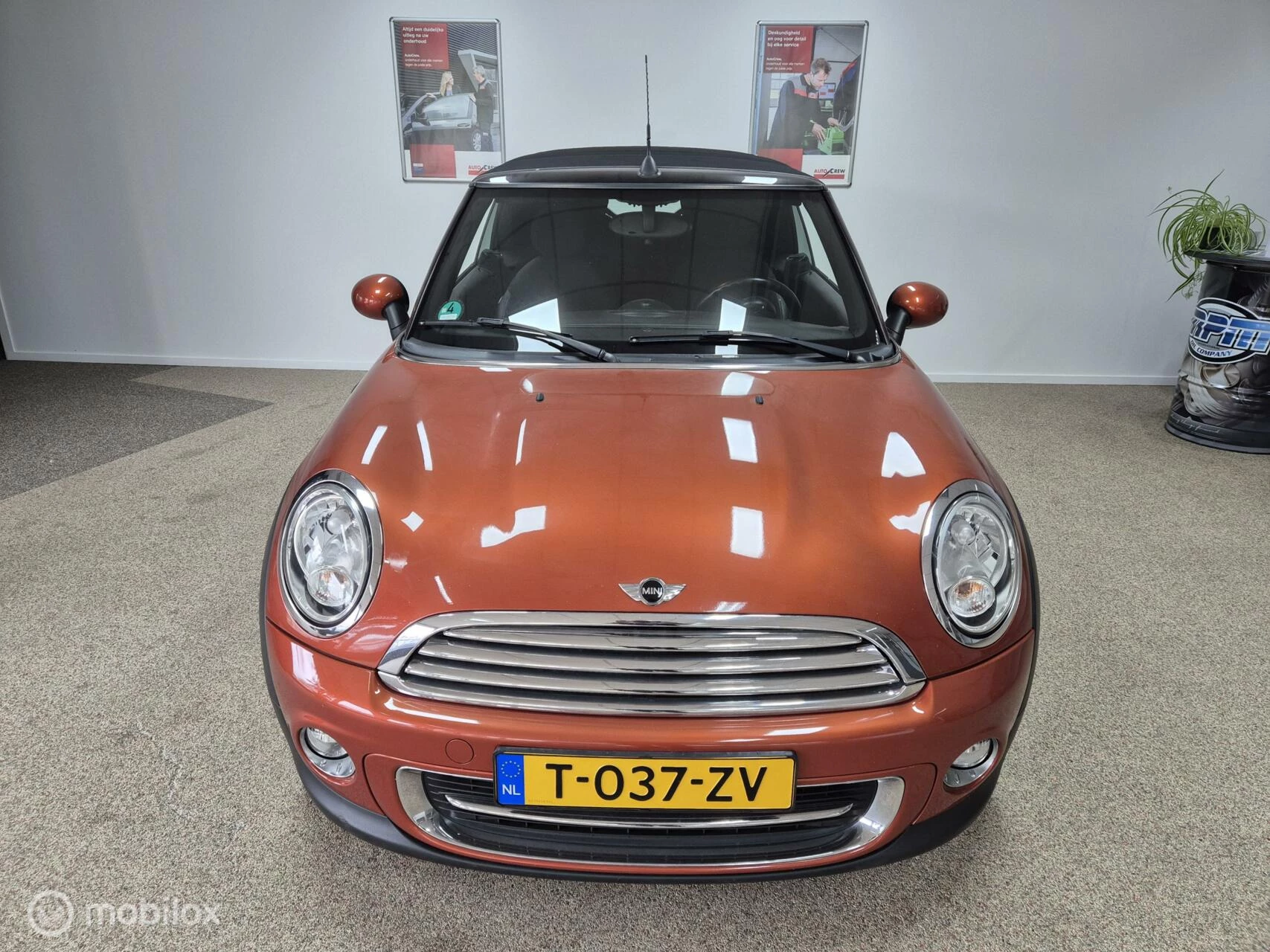 Hoofdafbeelding MINI Cooper Cabrio