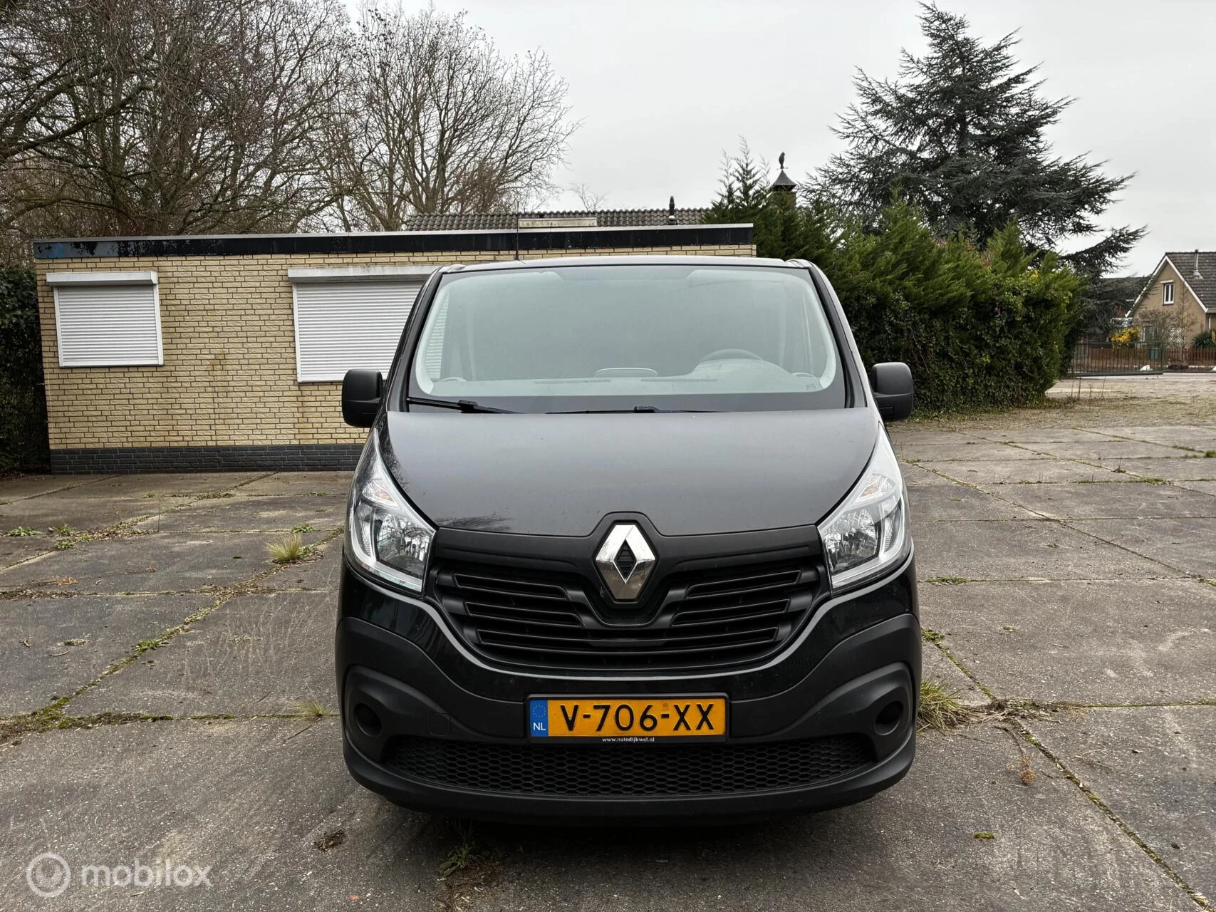 Hoofdafbeelding Renault Trafic