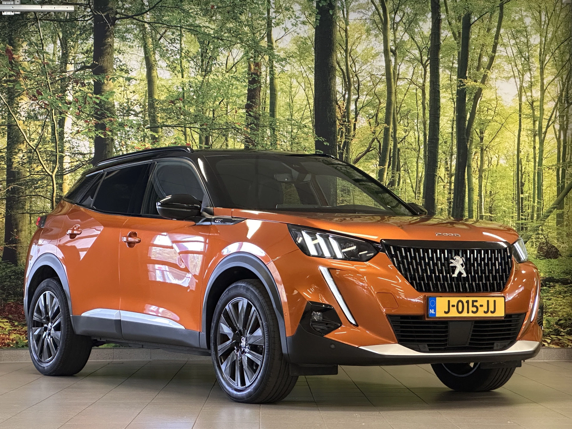 Hoofdafbeelding Peugeot 2008