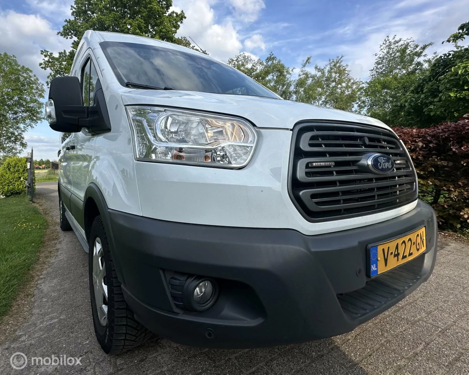 Hoofdafbeelding Ford Transit