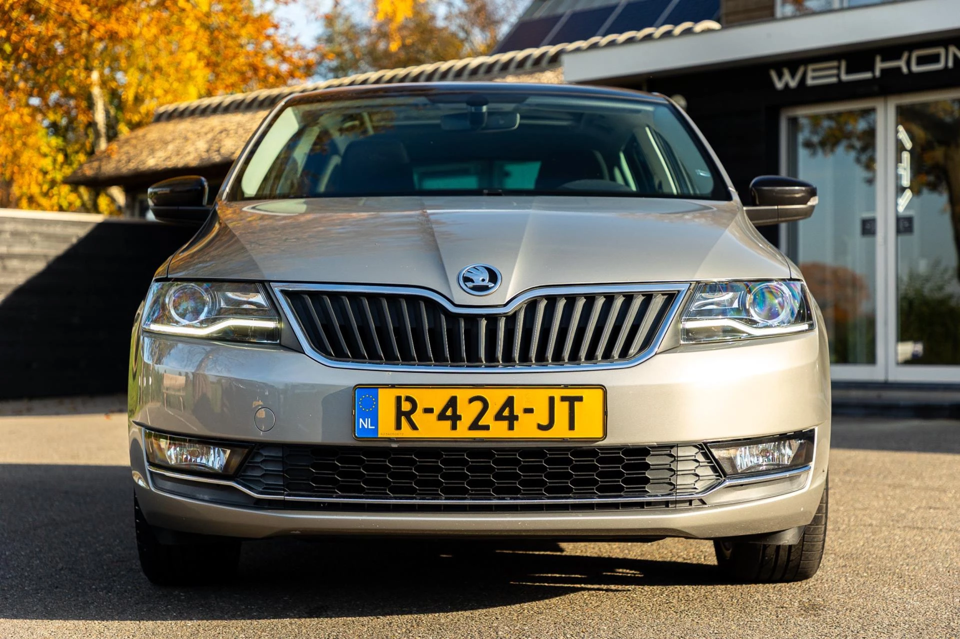 Hoofdafbeelding Škoda Rapid