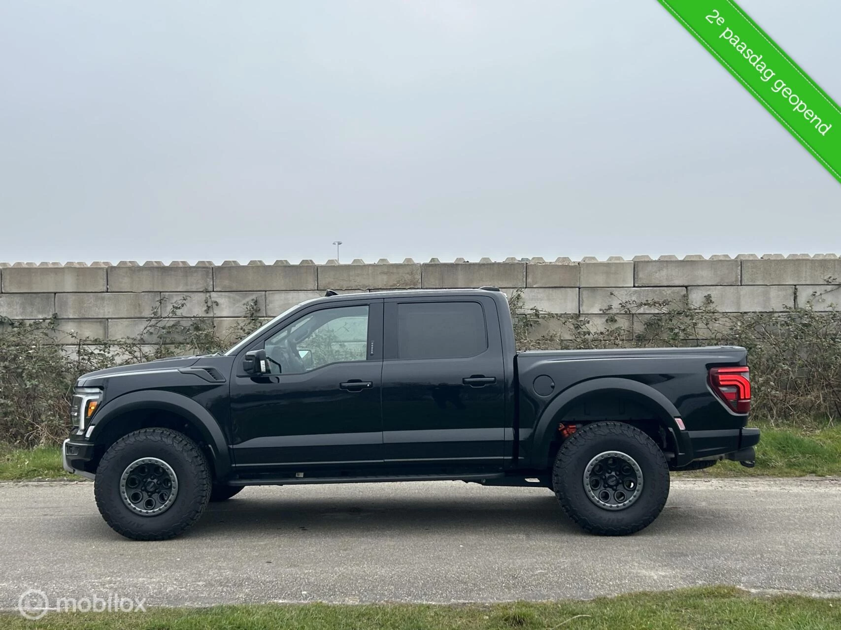 Hoofdafbeelding Ford F-150
