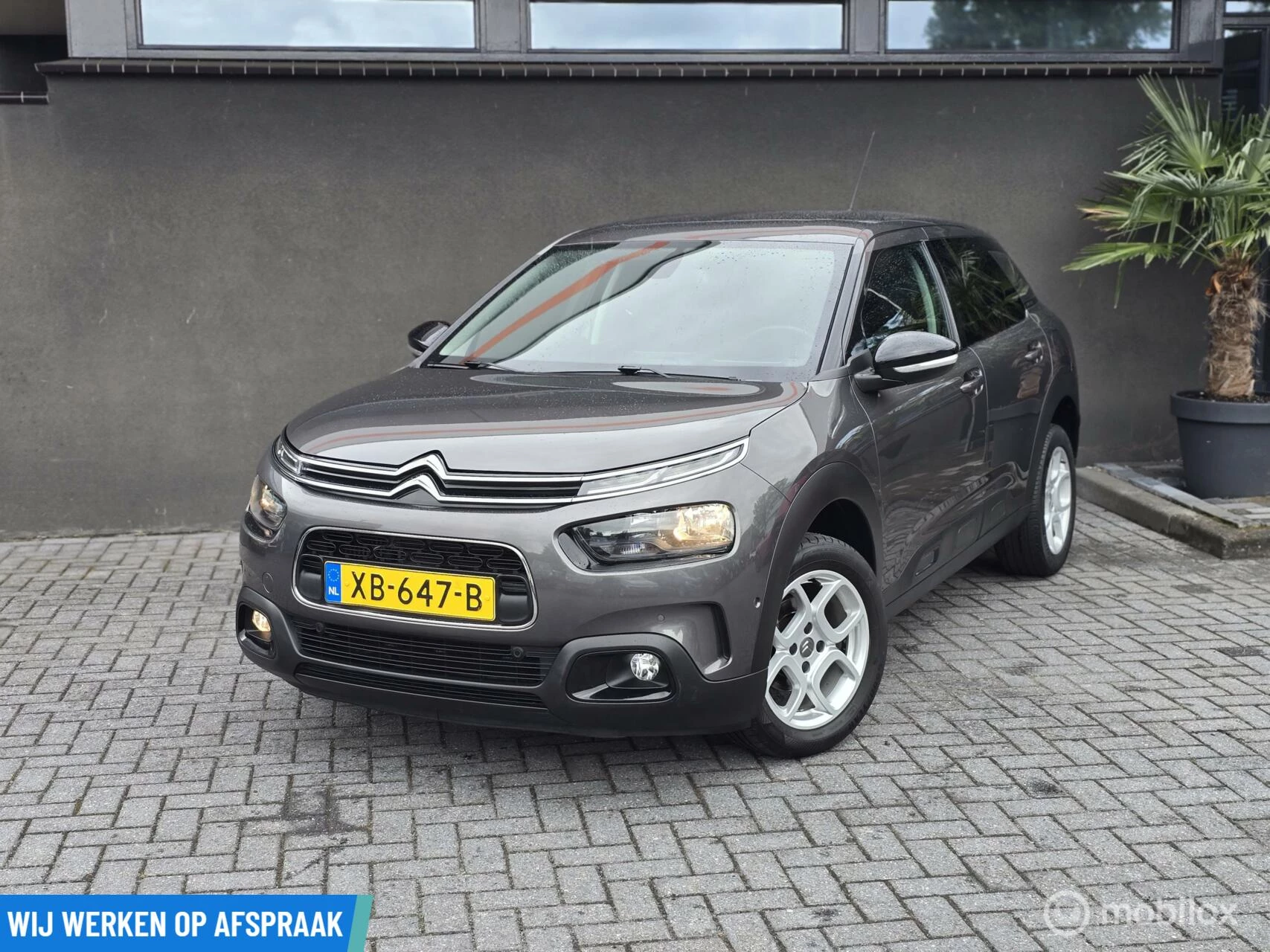 Hoofdafbeelding Citroën C4 Cactus