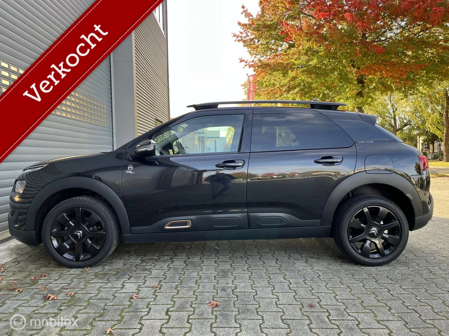 Hoofdafbeelding Citroën C4 Cactus