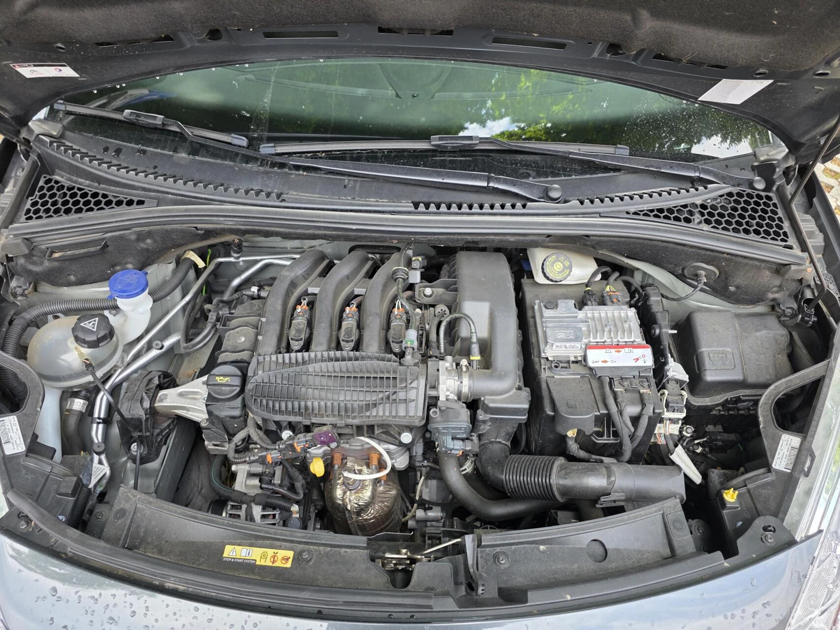 Hoofdafbeelding Citroën C3