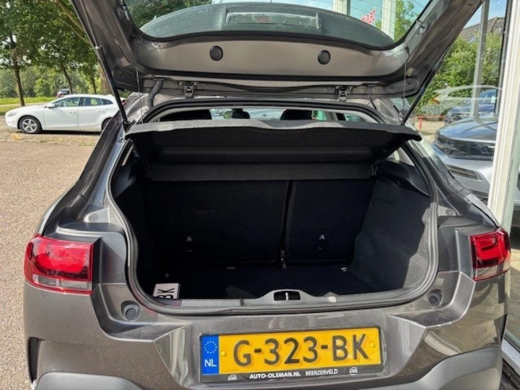 Hoofdafbeelding Citroën C4 Cactus