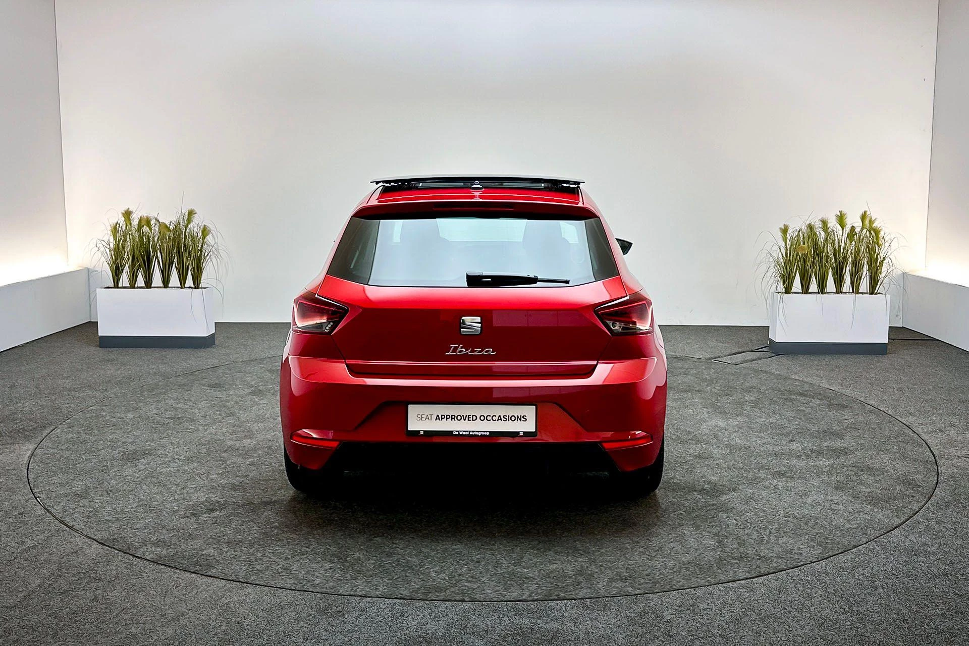 Hoofdafbeelding SEAT Ibiza