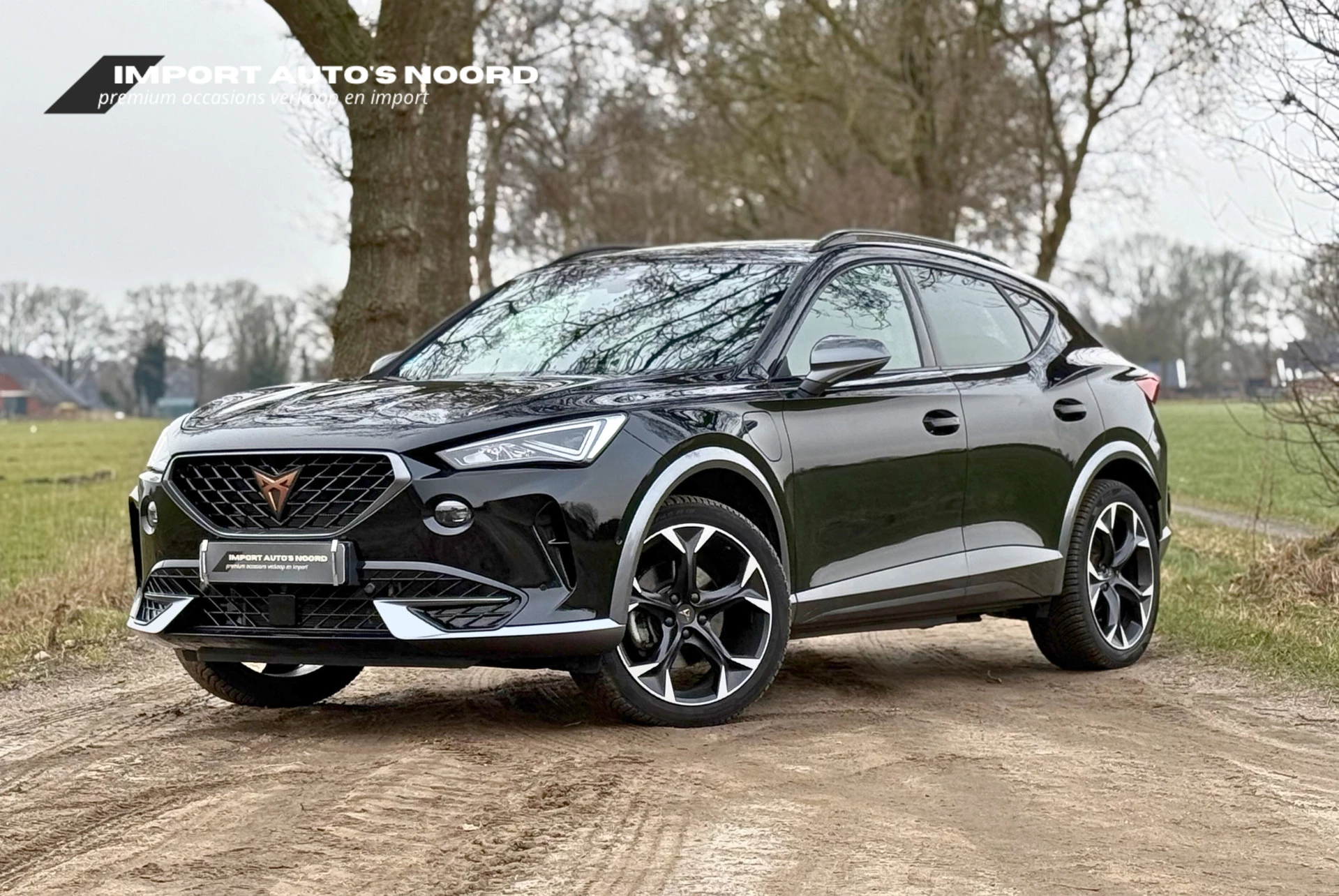 Hoofdafbeelding CUPRA Formentor