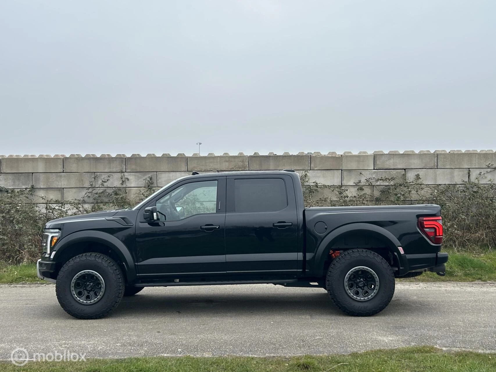 Hoofdafbeelding Ford F-150