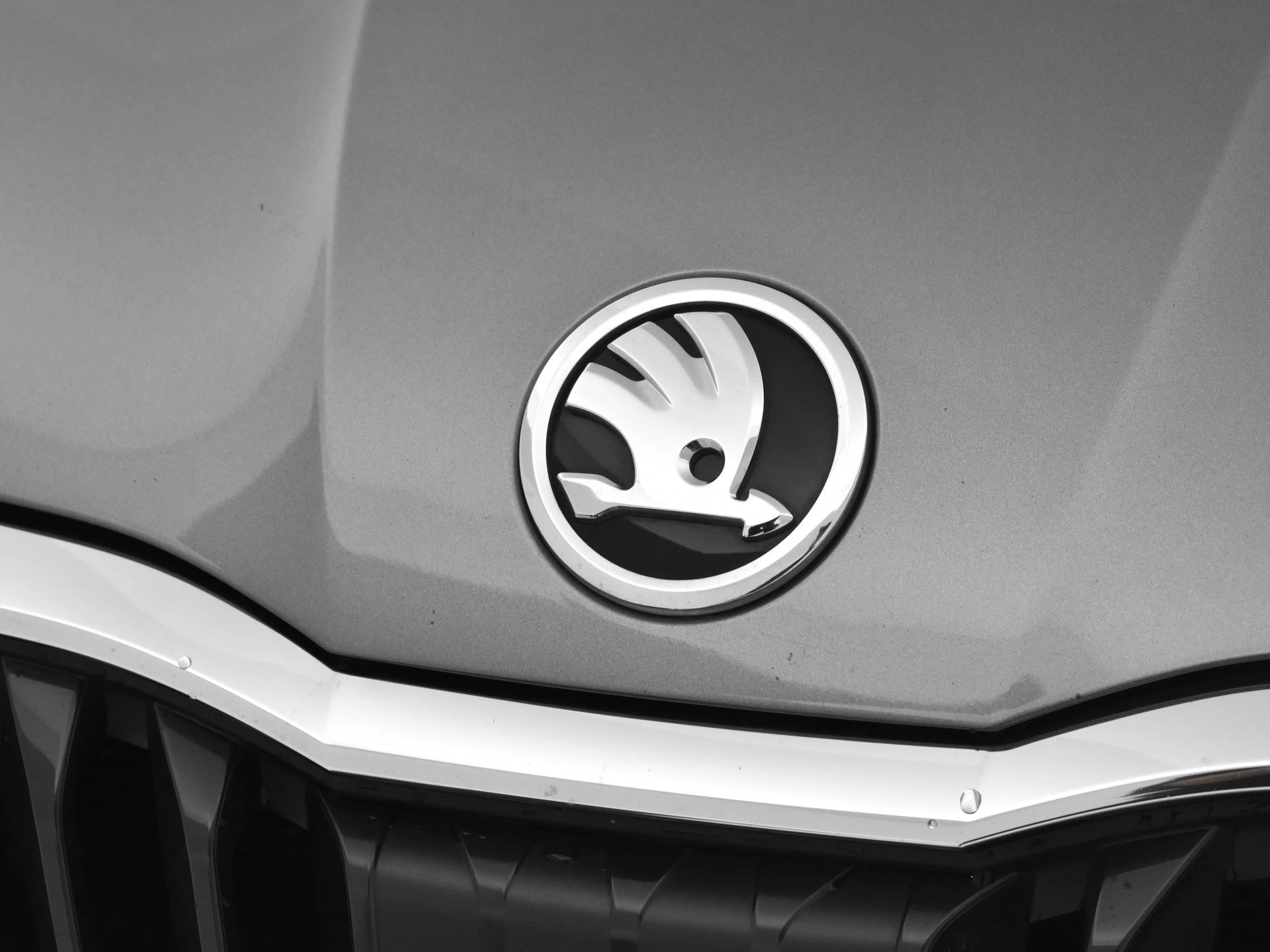 Hoofdafbeelding Škoda Scala