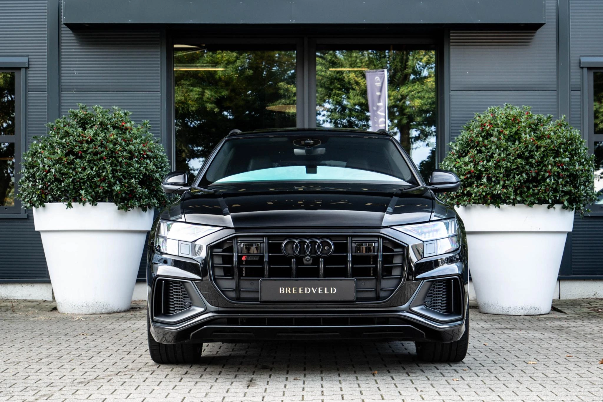 Hoofdafbeelding Audi SQ8