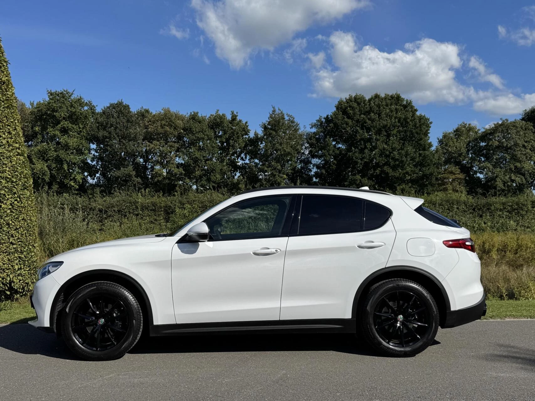 Hoofdafbeelding Alfa Romeo Stelvio